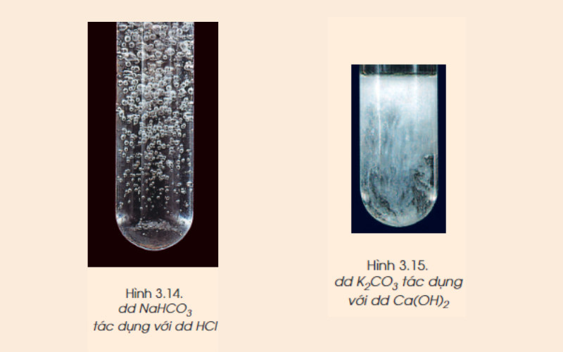 Phản ứng giữa muối hidrocacbonat và axit clohidric tạo khí CO2 và nước, minh họa tính chất hóa học của muối cacbonat