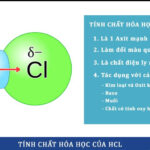 Phản ứng hóa học giữa kim loại và axit clohidric (HCl) tạo thành muối clorua và khí hidro