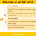 Quan trọng đối với ai, vì mục đích gì?