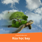Rùa cố gắng vẫy chân bắt chước bay lượn, thể hiện sự quyết tâm mặc dù không có cánh, một hình ảnh ẩn dụ về sự nỗ lực sai hướng.