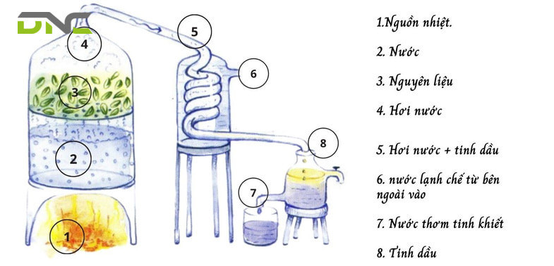 Sơ đồ quy trình chưng cất bằng nước và hơi nước, minh họa nồi chưng, vỉ đựng nguyên liệu, bình ngưng tụ và phễu chiết