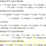 Sơ đồ tổng quan các phản ứng hữu cơ quan trọng trong chương trình Hóa học lớp 11, giúp học sinh dễ dàng hình dung và liên kết các phản ứng.