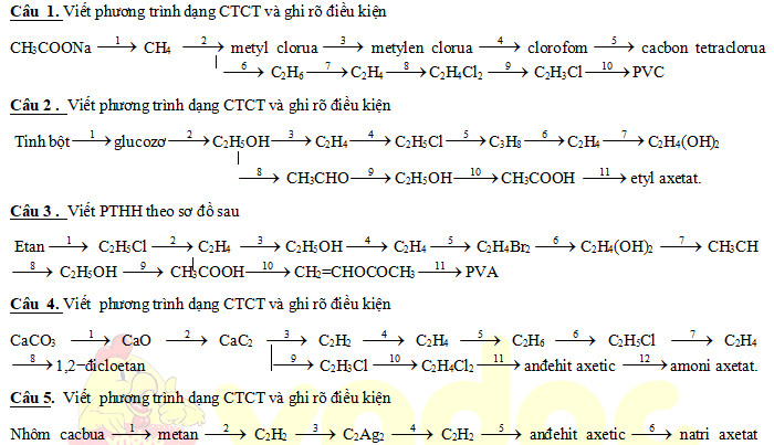 Sơ đồ tổng quan các phản ứng hữu cơ quan trọng trong chương trình Hóa học lớp 11, giúp học sinh dễ dàng hình dung và liên kết các phản ứng.