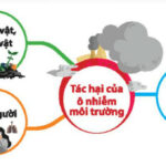 Sơ đồ tư duy về tác hại của ô nhiễm môi trường đến môi trường tự nhiên: mưa axit, hiệu ứng nhà kính, băng tan, thời tiết thất thường