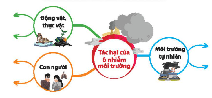 Sơ đồ tư duy về tác hại của ô nhiễm môi trường đến môi trường tự nhiên: mưa axit, hiệu ứng nhà kính, băng tan, thời tiết thất thường