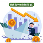 Tái đầu tư lợi nhuận, động lực chính của tích lũy tư bản trong kinh doanh hiện đại