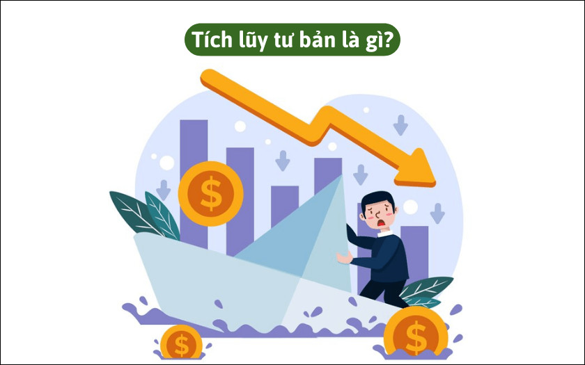 Tái đầu tư lợi nhuận, động lực chính của tích lũy tư bản trong kinh doanh hiện đại