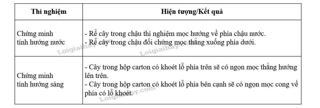 Thí nghiệm chứng minh tính hướng nước của cây: chậu đối chứng (trái) rễ mọc đều, chậu thí nghiệm (phải) rễ tập trung về phía nguồn nước