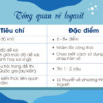 Tổng quan về phương trình logarit và ứng dụng thực tế.