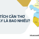 Tổng quan về vị trí địa lý và diện tích Cần Thơ trong khu vực Đồng bằng sông Cửu Long