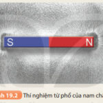 Từ phổ của nam châm thẳng được tạo bởi mạt sắt, cho thấy hình ảnh trực quan về sự phân bố từ trường.