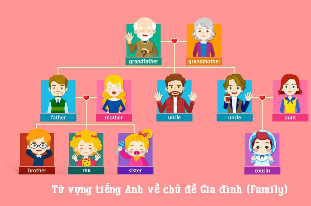 Từ vựng tiếng Anh về thế hệ con cháu trong gia đình, hỗ trợ vẽ sơ đồ tư duy chi tiết