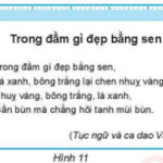 Ví dụ về căn lề trong văn bản, minh họa các kiểu căn trái, phải, giữa và đều hai bên